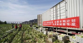 从美菜网 供应链 建设,看生鲜电商的下沉之路