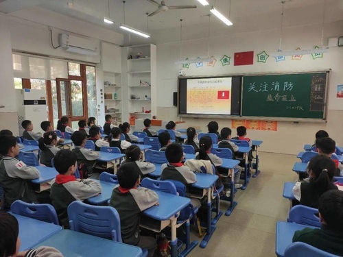 关注消防,生命至上 余杭区实验小学消防宣传周活动