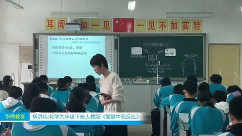 华师公益直播回顾 品牌教师精品课展示 化学九年级下册人教版 酸碱中和反应
