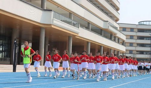 奋进登高 余杭又有5所学校被认定为浙江省义务教育标准化学校